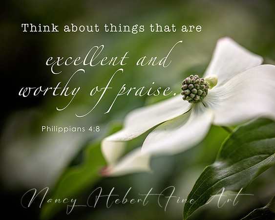Think about things that are excellent and worthy of praise. Phil. 4:8