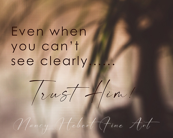 Trust Him....when you can't see clearly