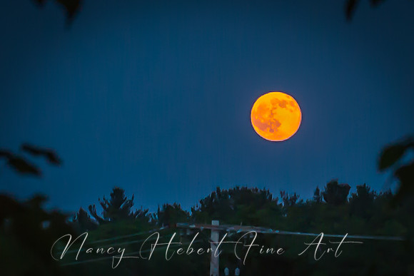 Strawberry Moon 06.20.2016