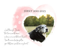 Jersey Gallery