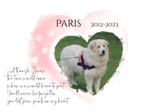 Paris Gallery