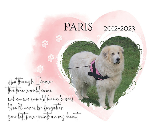 Paris 4-30-2012 to 8-02-2023