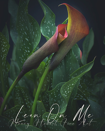 Lean On Me