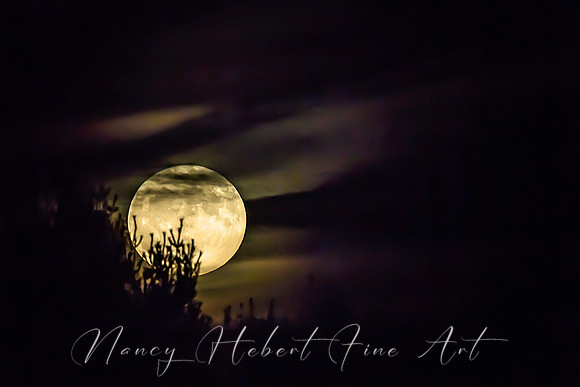 Full Hunters Moon 10.13.2019