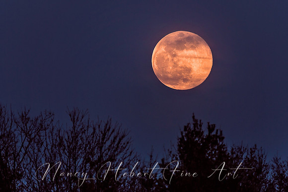 Full Pink Moon 04.07.2020