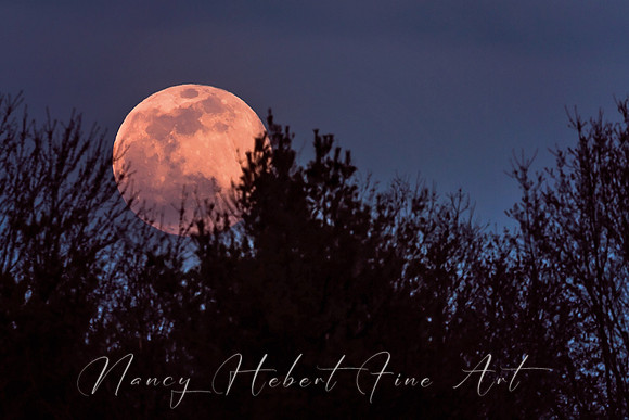 Full Pink Moon 04.07.2020
