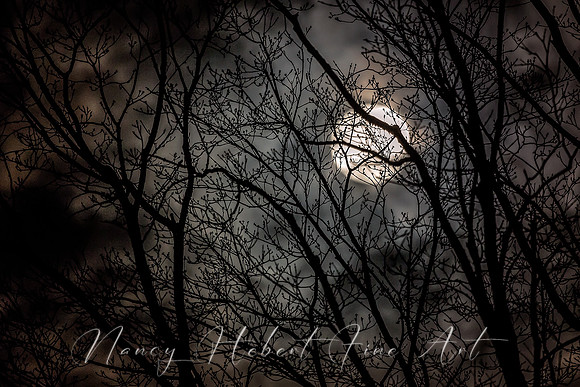 Full Pink Moon 04.07.2020