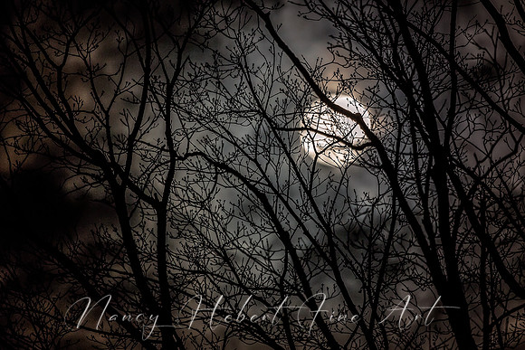 Full Pink Moon 04.07.2020