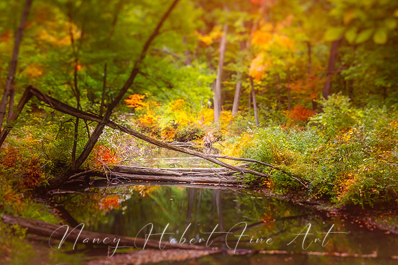 Mt Holyoke College