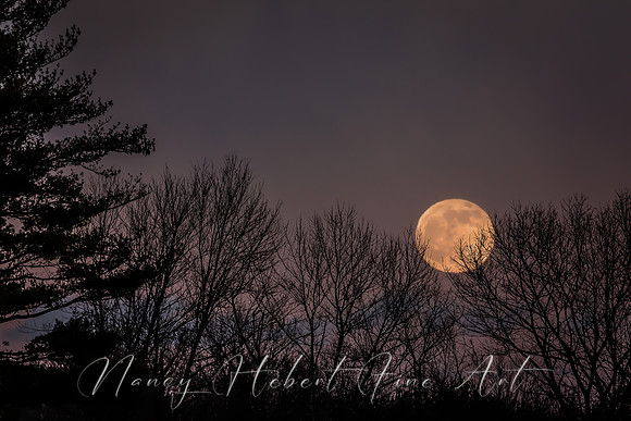 Full Cold Moon 12.29.2020