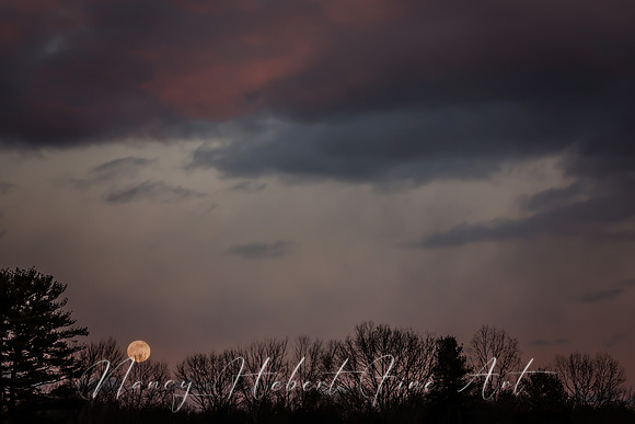 Full Cold Moon 12.29.2020