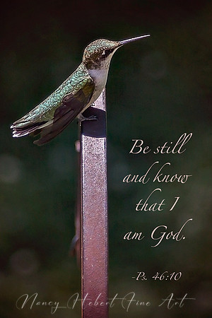 Be Still and know that I am God