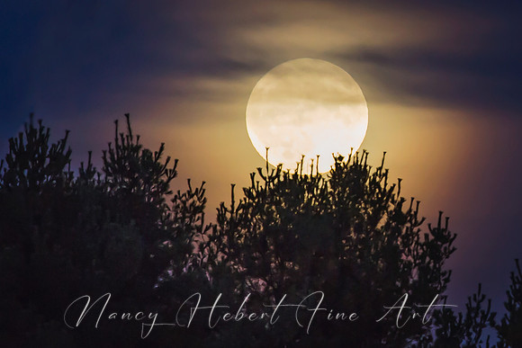 Full Hunter's Moon 10.15.2016
