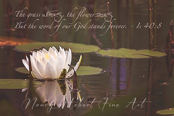 The flower may fade....