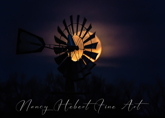 Full Pink Moon 04.24.2024