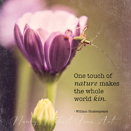 One touch of nature makes the whole world kin.